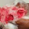 Hot African Net Sponge Sapo Peach Everything Shower|Net Sponge