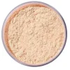 Airspun Loose Face Powder Translucent Extra Coverage 41 Make-Up Puder
