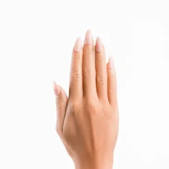 Best Almond Glossy French Nails Künstliche Nägel