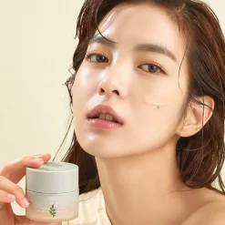 Artemisia Calming Moisture Cream Alle Korean Skincare|Feuchtigkeitscremes