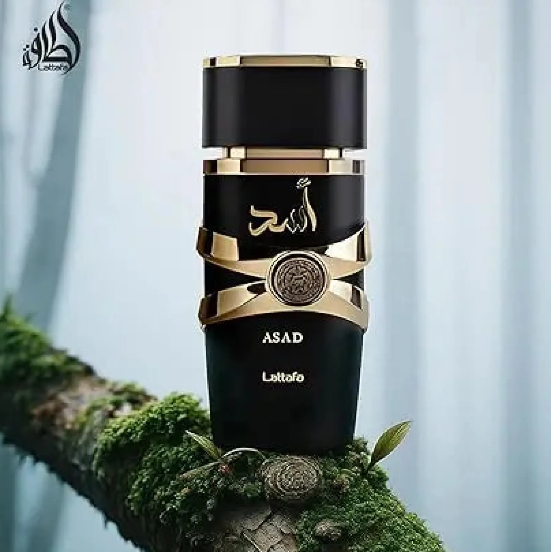 Sale Asad Eau de Parfum Arabische Parfums|Parfum Dupes
