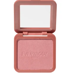 New Baked Blush Dusty Pink Rouge