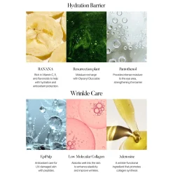 Clearance Banana Conceal Eye Cream Augencreme|Hauptzutat