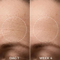Hot Barrier Restore Night Cream Feuchtigkeitscremes|Hauptzutat
