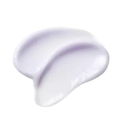 Bellflower Moisturizing Barrier Cream Alle Korean Skincare|Feuchtigkeitscremes