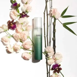 New Black Bamboo Mist Face Mists|Vegan Pflege