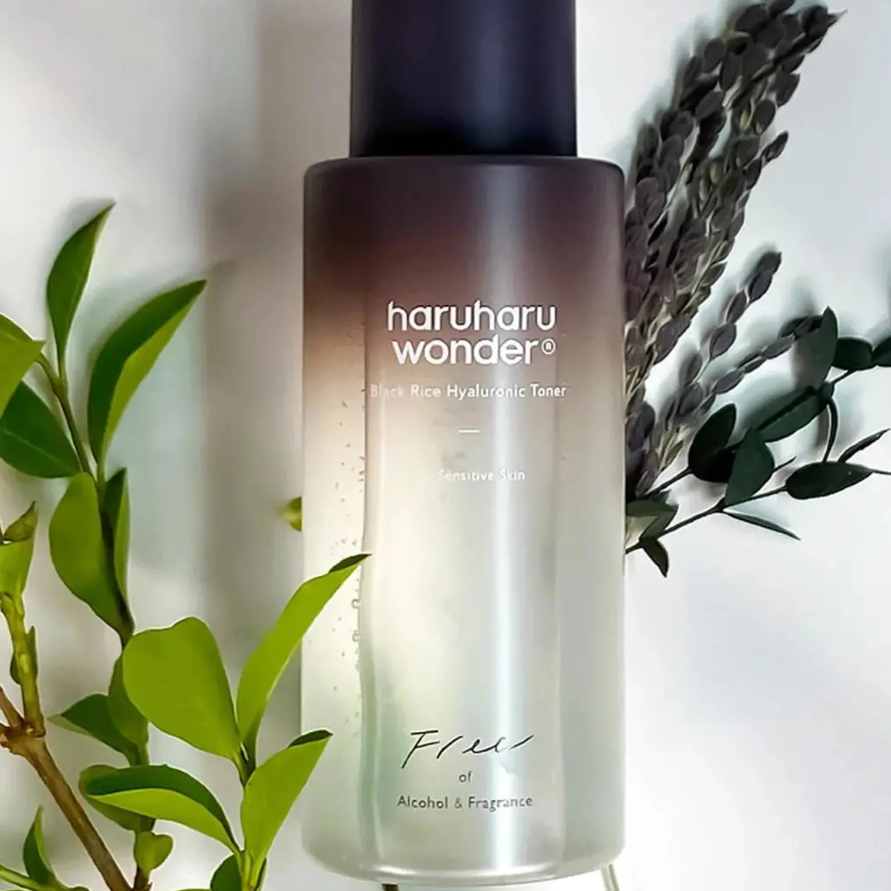 Black Rice Hyaluronic Toner Fragrance Free 30 ml. Hauptzutat|Vegan Pflege