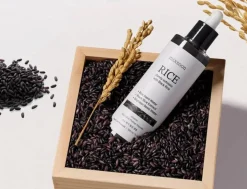 Discount Black Rice Peeling Ampoule Hauptzutat|Ampoules