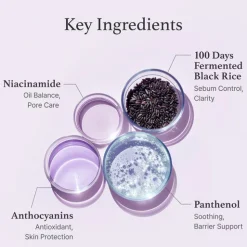 Clearance Black Rice Toner 150 ml. Milky Toners|Hauptzutat