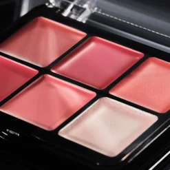 Online Blur Balm Blush Palette 010 Blush Blindness Rouge