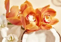 Body Lotion Wild Orchid Everything Shower|Hautprobleme
