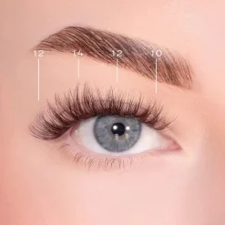 Best Bold Definition Dark Brown Pre-Glued Lashes Künstliche Wimpern