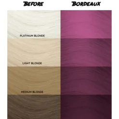 New 51 Bordeaux Haarfärbemittel|Vegane Haarpflege