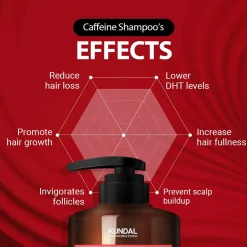 Hot Caffeine Shampoo White Musk Korean Haarpflege|Hauptzutat