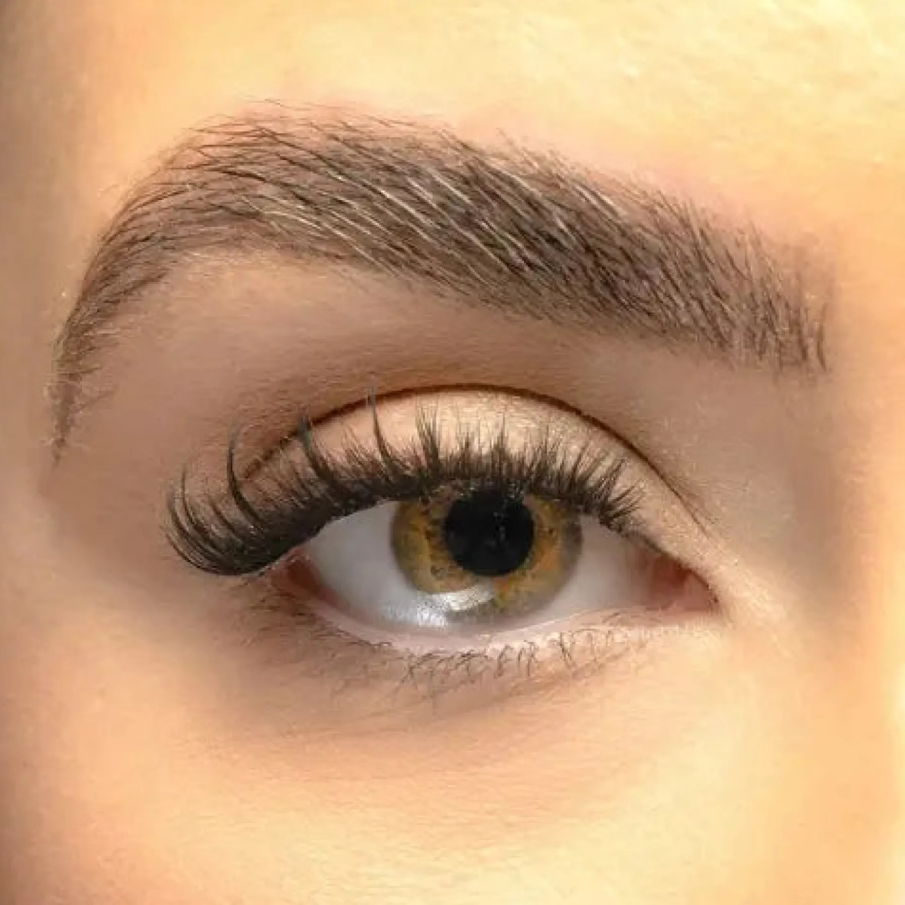 New Cat-eye Hybrid Pre Mapped DIY Lashes Künstliche Wimpern