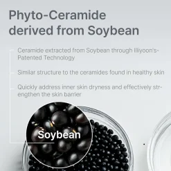Best Ceramide Ato Concentrate Cream Clean Beauty|Feuchtigkeitscremes