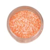 Outlet Chameleon-Diamond Pigments Miracle Lidschatten|Vegane Lidschatten