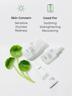 Outlet CICA-7 Relief Kit Hauptzutat|Korean Skincare Routine