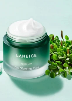 Clearance Cica Sleeping Mask Clean Beauty|Hauptzutat