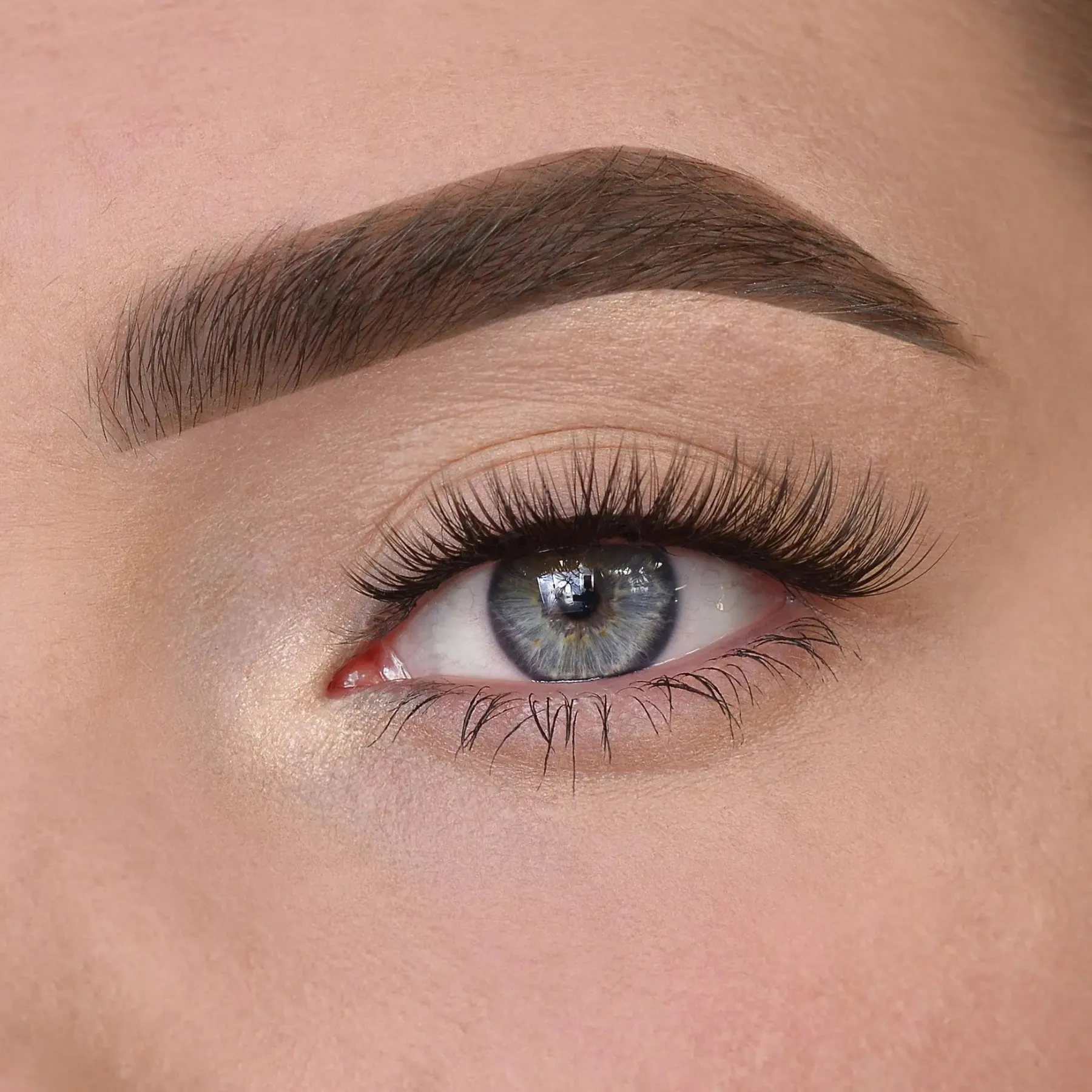 Coco Lashes Künstliche Wimpern|Clean Beauty