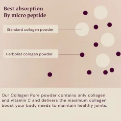 New Collagen Powder Pure Kollagen|Hauptzutat
