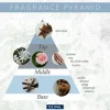 New Crystal Dry Oil Everything Shower|Vegan Pflege