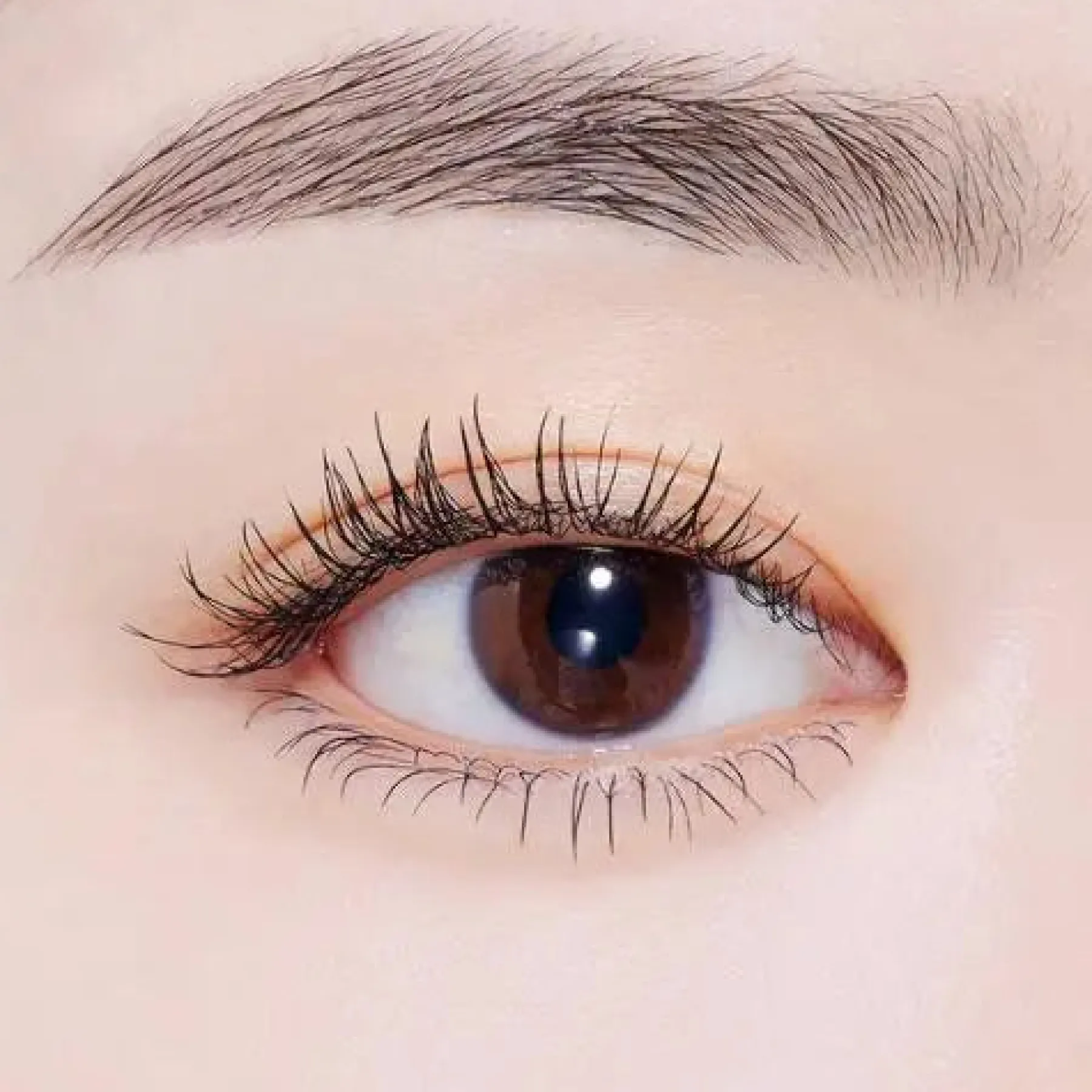 Sale Curl Fix Mascara Black Mascara|Korean Makeup