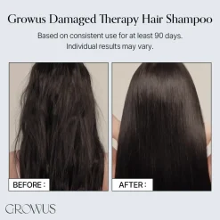 Damage Therapy Shampoo EX Korean Haarpflege|11 Schritte Haarpflege Routine