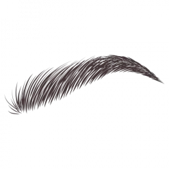 Dybrow Black Augenbrauen