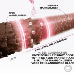 Ultimate Glycolic Gloss 5 Minuten Lamellaire Verzorging Haarprobleem|Vegane Haarpflege