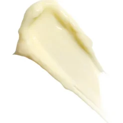 New Fat Oil Suga Baddie Body Lotion Körperlotion|Everything Shower