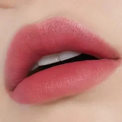 Discount Fixing Tint 11 Rose Blending Veganer Lippenstifte|Lip Stain