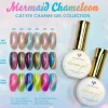 Online Gel Cat Eye E34 Golden Serenade Cat Eye Gellack|5. Gellak