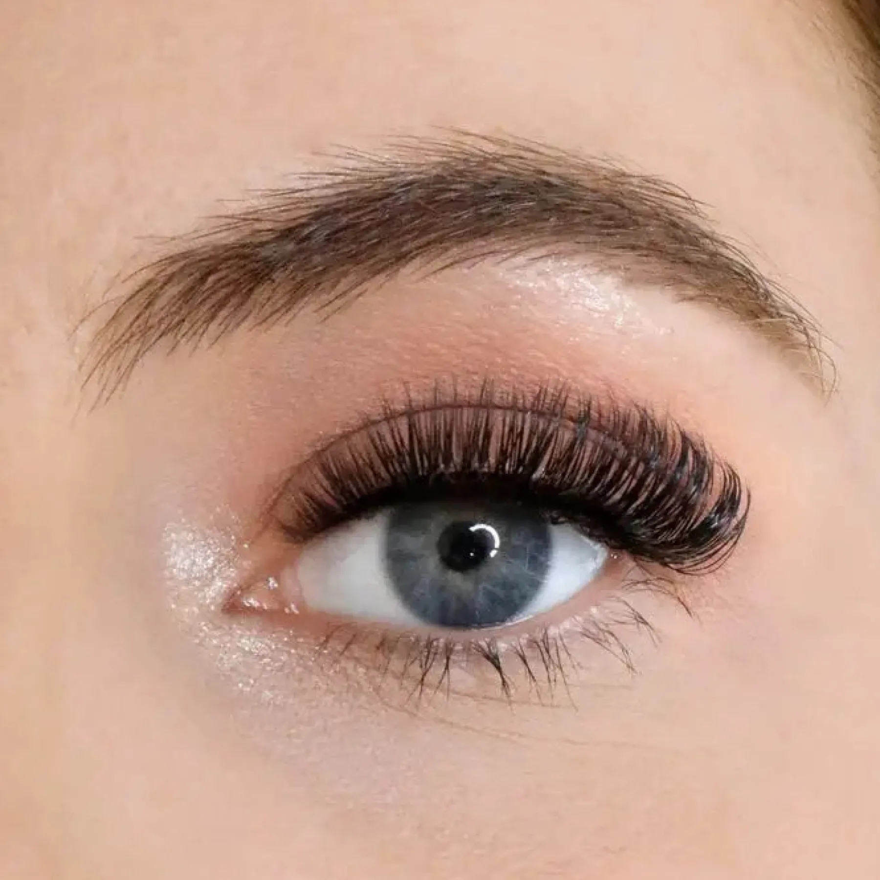 New Goal Digger Russian Strip Lashes Künstliche Wimpern