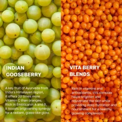 Online Gooseberry Dark Spot Brightening Serum Hauptzutat|Aufhellendes Serum
