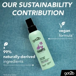 Got2b Extra Care Dry Shampoo Mist Haarprobleem|Shampoo