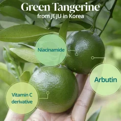 Best Green Tangerine Vita C Toner Alle Korean Skincare|Toners