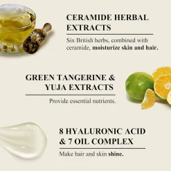 Clearance Green Tangerine Yuja Kombu Tea Perfume Hair & Body Mist Everything Shower|Körpermist