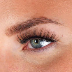 Clearance Lashes Billy Künstliche Wimpern