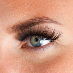 New Lashes Tisha Künstliche Wimpern