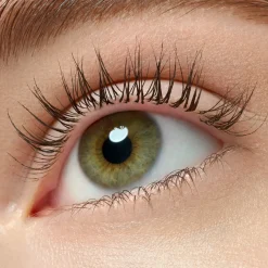 Best Lash Princess False Lash Effect Mascara Black Brown Mascara