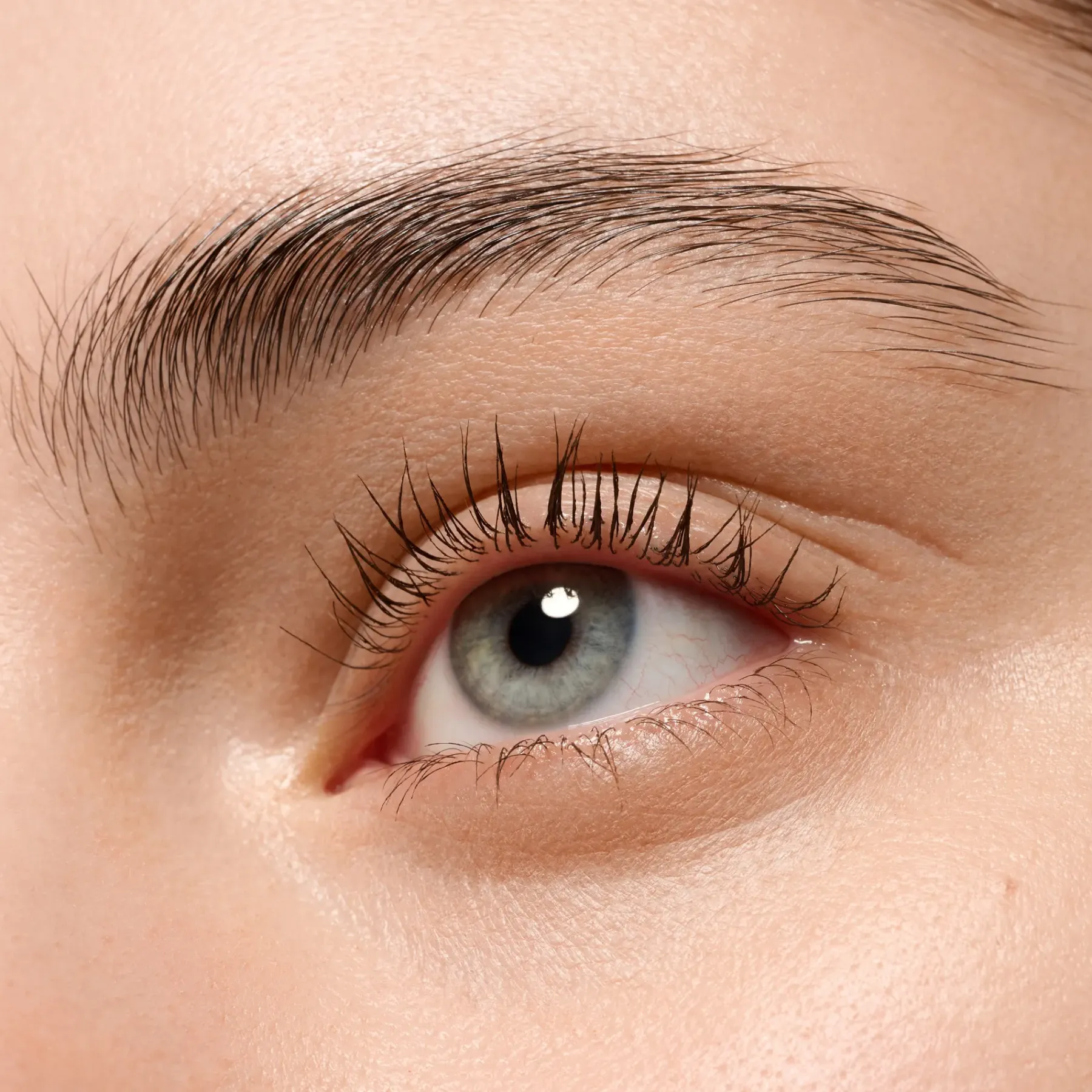 New Lash Without Limits Tubing Brown Extreme Lengthening & Volume Mascara 05 Brown Tubing Mascara|Vegan Mascara
