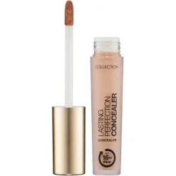 Best Lasting Perfection Concealer Vegan Concealer|Concealer
