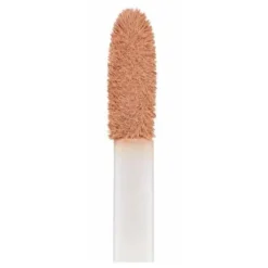 Best Lasting Perfection Concealer Vegan Concealer|Concealer