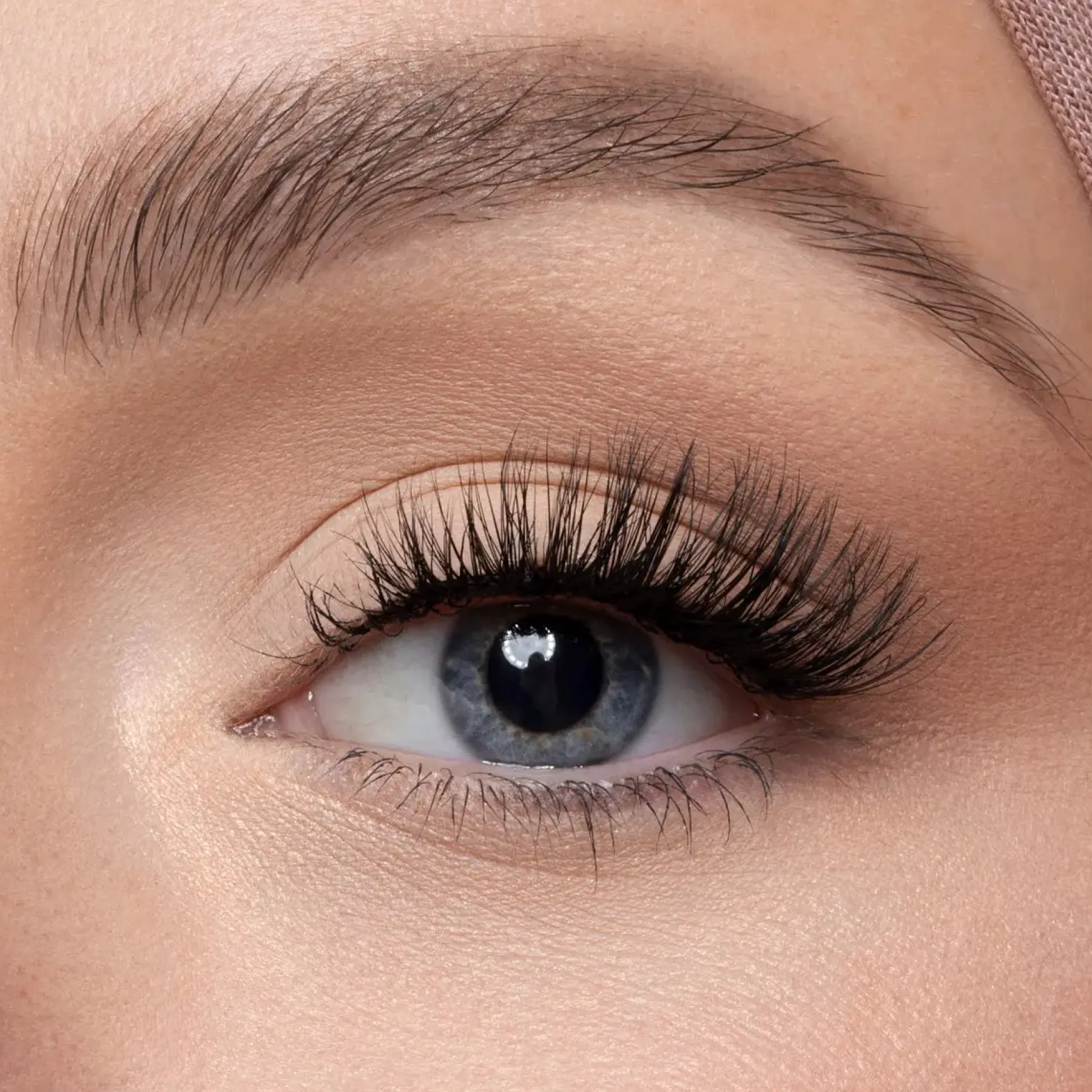 Outlet Lina Half Lashes Künstliche Wimpern|Clean Beauty