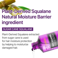 New Macadamia Hair Serum Amber Vanilla Korean Haarpflege|11 Schritte Haarpflege Routine