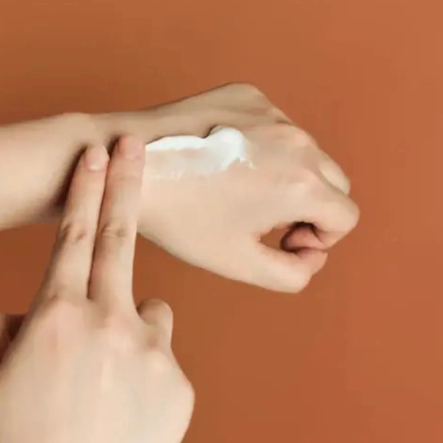 Hot Madagascar Centella Probio-Cica Enrich Cream Feuchtigkeitscremes|Hauptzutat
