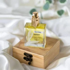 Best Magical Dry Oil Everything Shower|Körperöl