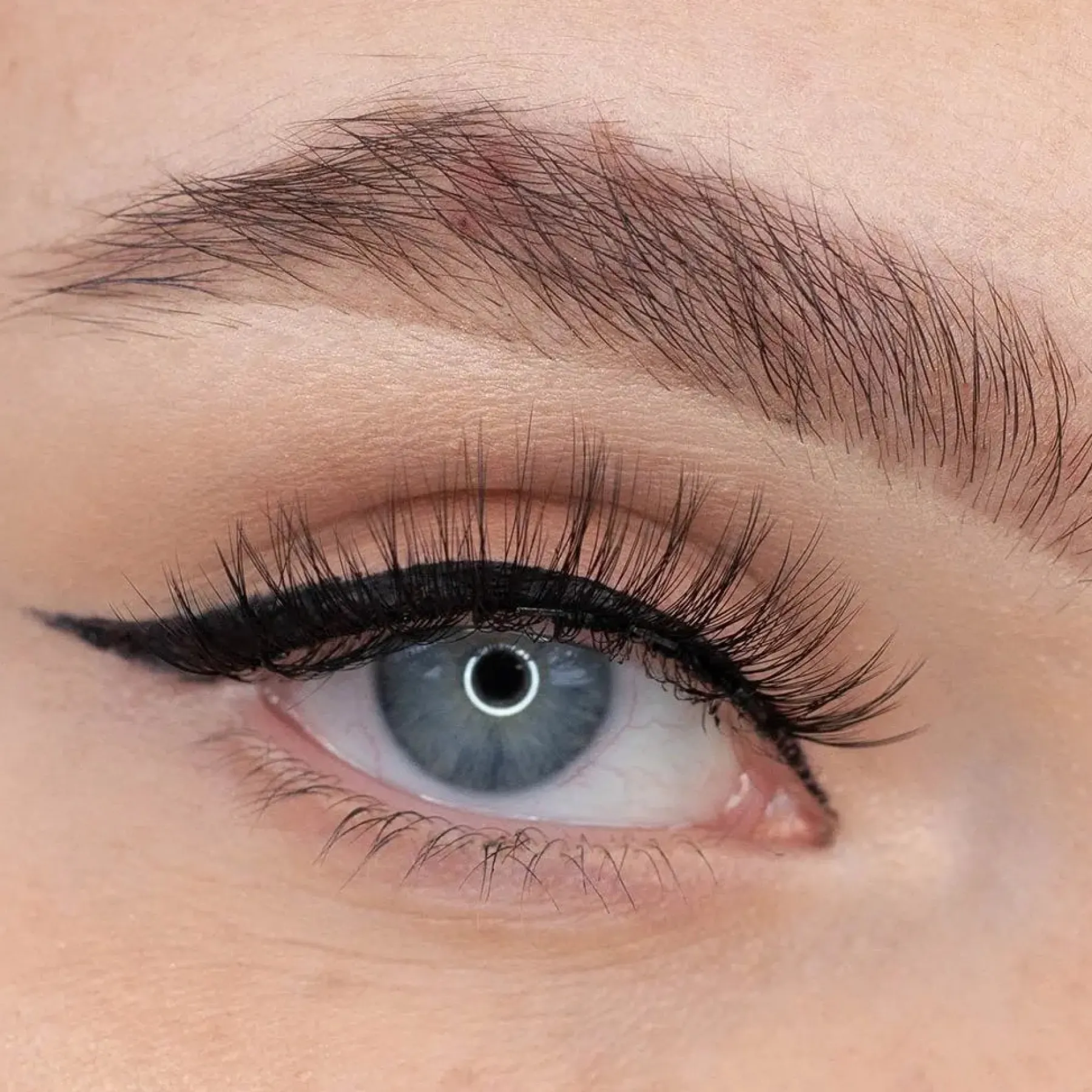 Discount Magnetic Lashes Tantalize Künstliche Wimpern