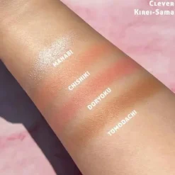 Hot Manga Collection Face Palette Clever Kirei-Sama Rouge